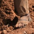 poor farmer in south america