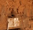 main light switch