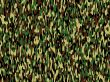 camouflage style pattern