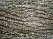 Firewood texture