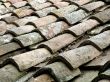 roof tile