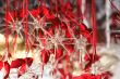 Christmas-tree decoration stars