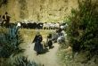 Peruvian Indian women herding sheep