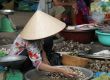 Sorting the shells