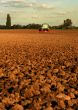 Tractor and field