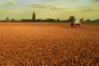 Tractor and field