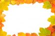 Colorful leaves frame
