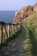 Way to the sea