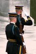 Honor Guard