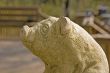 Stone Pig