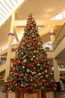 Christmas Tree in mall