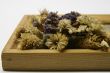 Frame with sear flowers