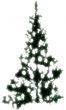 Holiday Design you can Personalize