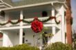 Christmas House and Rose