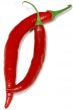 2 isolated peppers