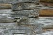 An old wooden church wall