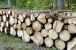 pile of Wood