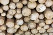 pile of Wood