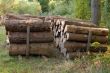 pile of Wood