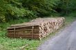pile of Wood