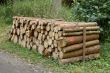 pile of Wood