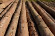 pile of Wood