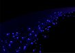 Blue lines and bubbles