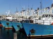 Blue fishing boats