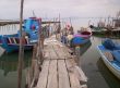Fishing boats
