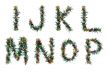 christmas alphabet - letters