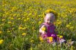 little girl with dandelion diadem
