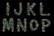 christmas alphabet - letters