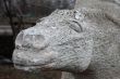 The head of horse in stone