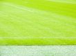 Soccer field