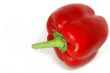 Red paprika 3