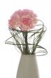 Bouquet of carnations