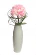 Bouquet of carnations