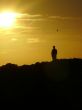 Man and bird silhoutte