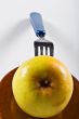 Apple still life