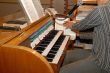 musical organs