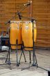 two bongos