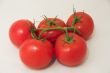 red tomatoes