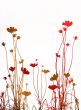 flower abstract textures and backgrounds