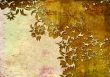 floral style backgrounds frame