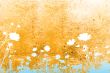 flower abstract textures and backgrounds