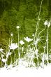 flower abstract textures and backgrounds