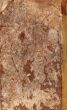old paper textures