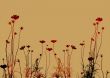flower abstract textures and backgrounds