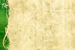 Detailed textured grunge background/frame