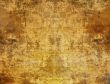 Detailed textured grunge background/frame